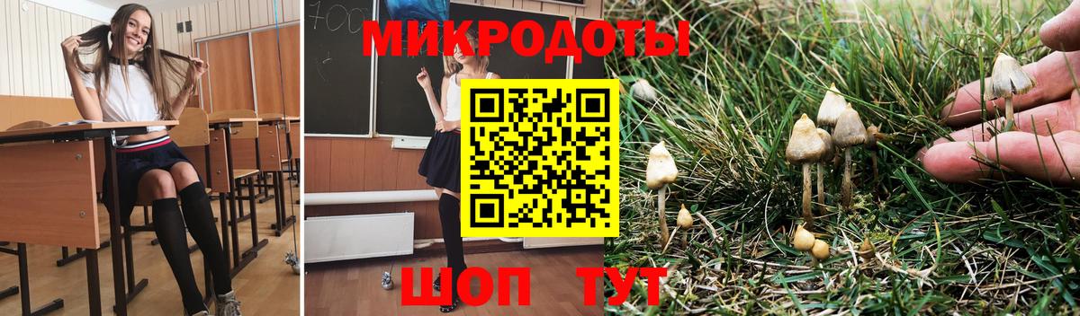 Галлюциногенные грибы GOLDEN TEACHER  Вход с VPN  Осинники 
